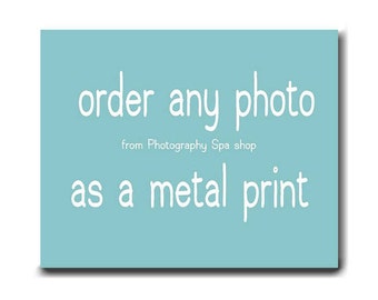 Metal print aluminum art, nature, floral, flower, beach, ocean, nautical, tree branch metal artwork, metal photography wall art, metal decor