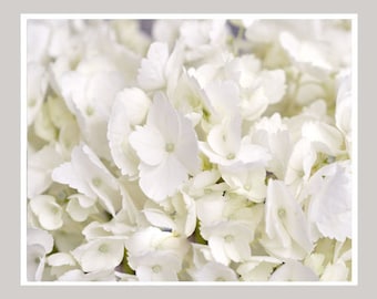 White hydrangea art, white photography floral art print, white wall art, white bedroom art, white bathroom decor, powder room wall picture