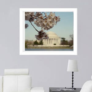 DC Cherry Blossom photography, Thomas Jefferson Memorial art print, large washington dc wall art, DC poster print, pastel, black and white image 2