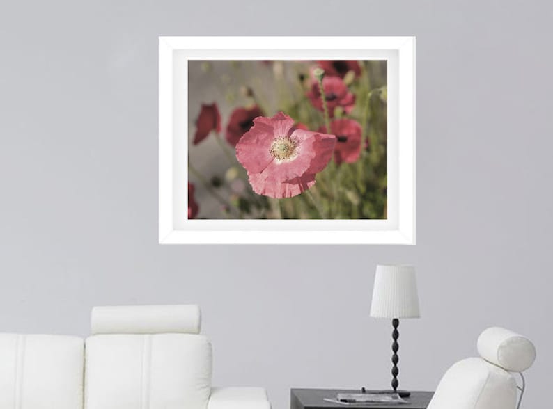 large photography print cottage bedroom wall art decor poppy art print Floral wall art print shabby chic decor pink flower photo print