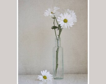 Country rustic shabby chic wall art, white flower daisy wall art photo, neutral bathroom wall decor powder room art stilll life vertical art