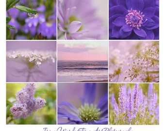 Floral photography set of 9 prints, purple wall art set 9 flower art photos, lavender wall print set 9 pictures of nature, photo gift, SALE