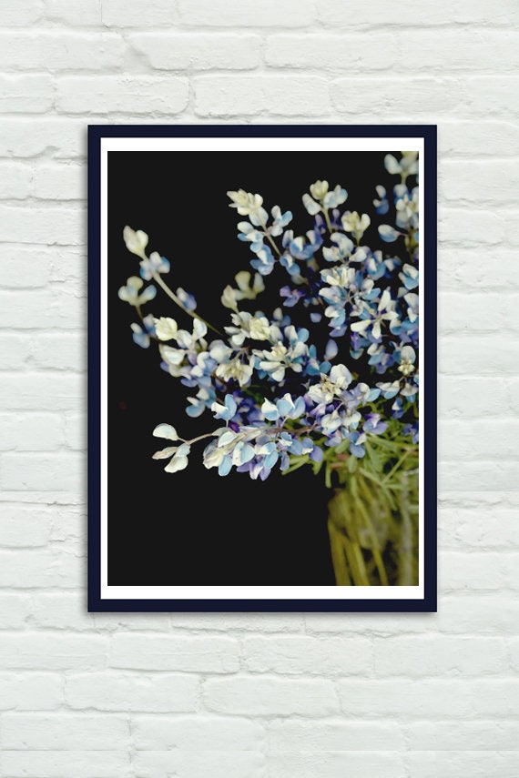 Dark wall art, bluebonnet photograph or canvas, large farmhouse chic wall picture, vertical floral art, black background flower wall decor