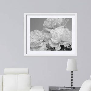 Peony print black and white, light grey wall art, flower photo print, floral wall decor shabby chic bedroom bathroom girls room wall picture image 2