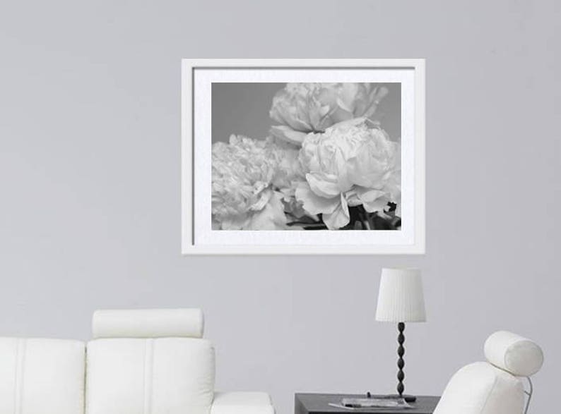 Peony print black and white, light grey wall art, flower photo print, floral wall decor shabby chic bedroom bathroom girls room wall picture image 2