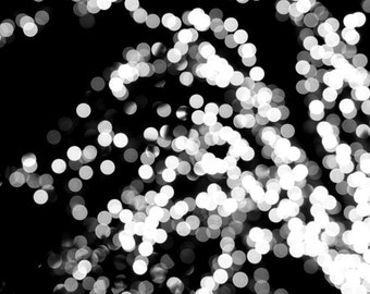 Black & white abstract light photography, twinkle sparkles gallery wall print, lighted tree branch grey circles fairy lights, modern artwork