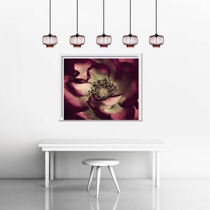 Fine art photography burgundy red flower artwork rose stamens picture, mint dark red large floral print, purple living room bedroom wall art image 3