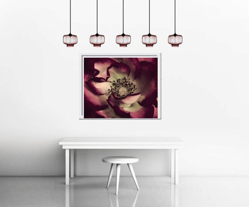 Fine art photography burgundy red flower artwork rose stamens picture, mint dark red large floral print, purple living room bedroom wall art image 3