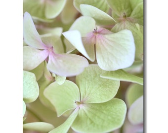 Green hydrangea wall art, floral canvas or photo artwork, oversized tall vertical art, pastel pink green girls bedroom decor, ivory cream