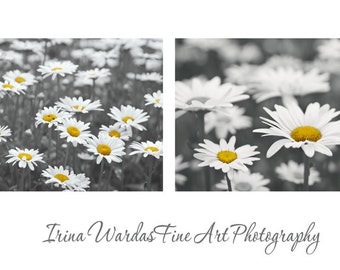 Grey and yellow wall art prints set of 2 pictures black and white yellow flowers, white daisy modern floral photography, bathroom wall decor