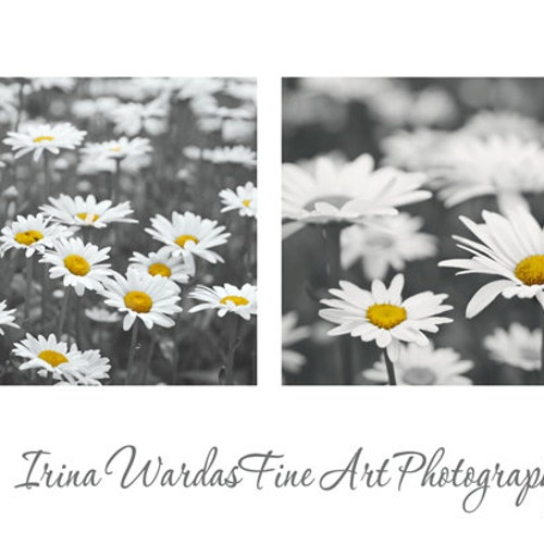 Grey and Yellow Wall Art Prints Set of 2 Pictures Black and Etsy