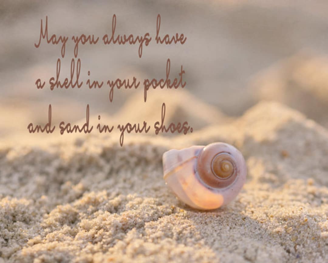 Seashell Quote, Coastal Wall Print Quote, Beach Photography, Beach