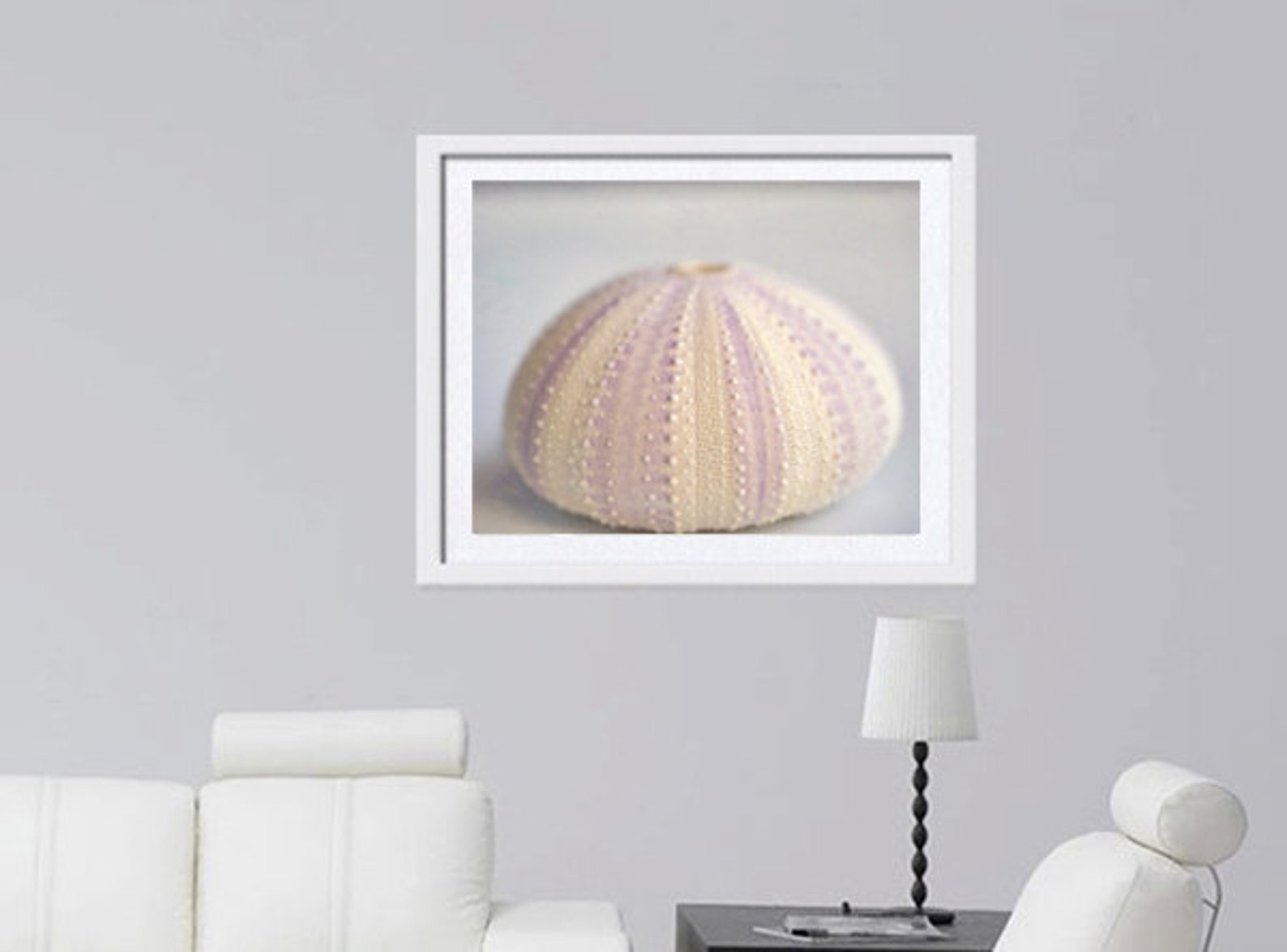Pastel Beach Wall Art Seashell Photography Print Sea Urchin Etsy