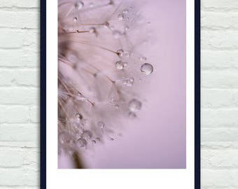 Bathroom wall decor, pink dandelion wall art, blue grey dandelion art print, rain drops artwork, bathroom wall art, vertical photo print