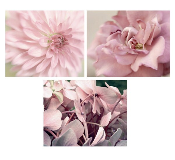 Dusty Pink Wall Art Set, Dusty Rose Decor Shabby Chic Floral Art ...