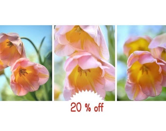 Floral pictures, pink tulip set of 3 wall art flower photographs or canvas, blue green burnt orange pink room decor teen girl, bedroom bath