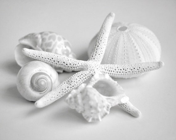 SEASIDE YELLOW GREEN STARFISH Art Print Poster Home Decor Room Bathroom Nautical