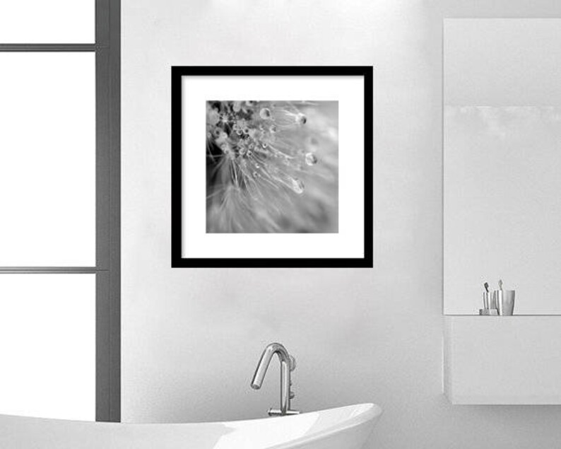 Bathroom Wall Art Black and White Dandelion Art Print Powder Etsy