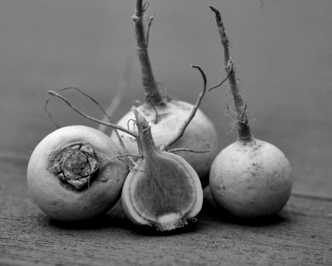 Black and White Kitchen Wall Art, Large Food Photography, Vegetable Picture, Country Rustic