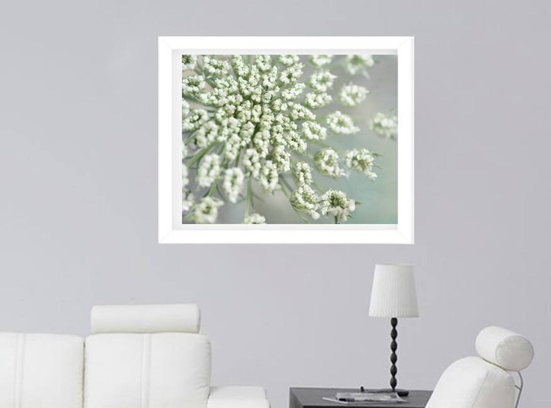 Large botanical print Queen Anne's Lace flower photography print, shabby chic wall art floral art print, cottage chic bedroom wall art decor image 2