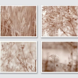 May include: A set of four sepia-toned photographs featuring nature scenes. The first image shows tall blades of grass, the second shows a branch with leaves, the third shows a small cluster of white flowers, and the fourth shows a single white flower.