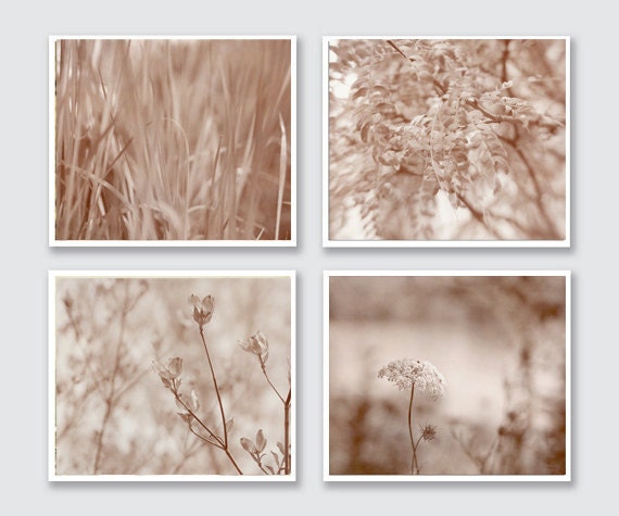 Nature photography, botanical prints 11x14, 8x10, sepia prints beige wall decor neutral wall art, light brown tan wall art set of 4 pictures
