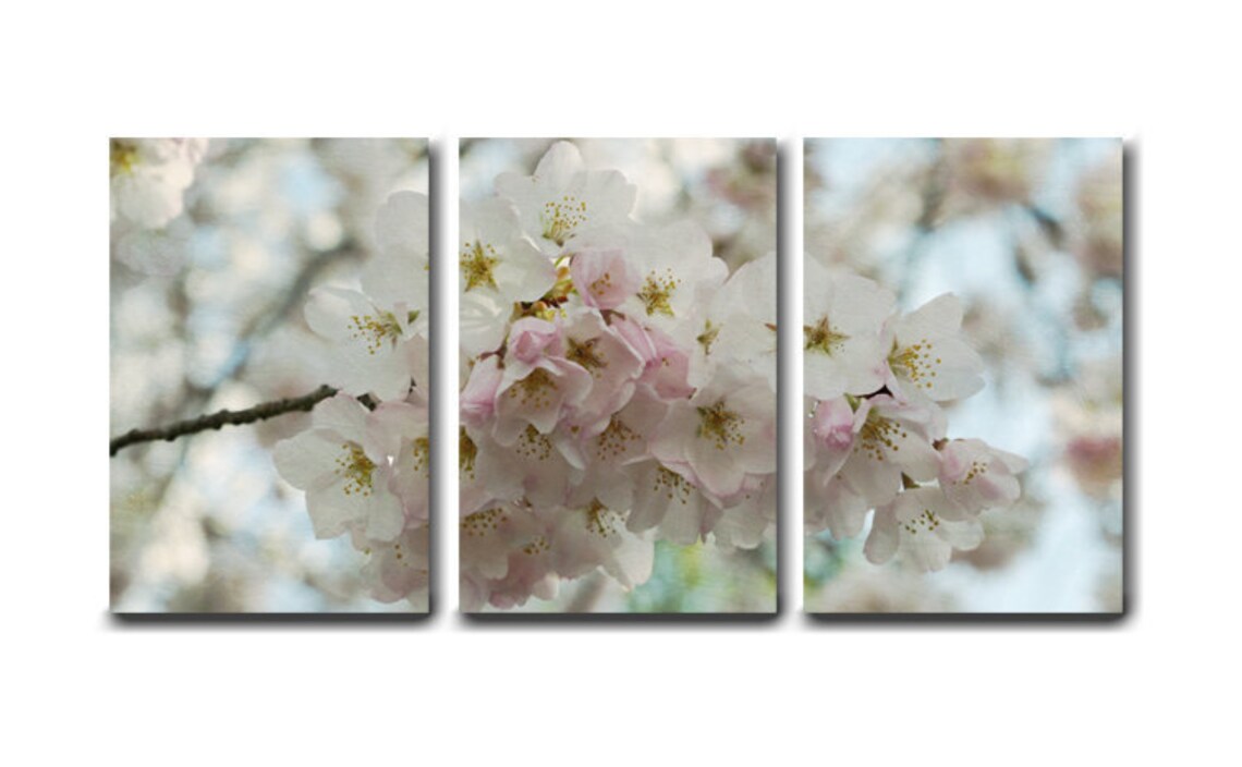 3 Piece Wall Art Cherry Blossom Sakura Art Shabby Chic - Etsy