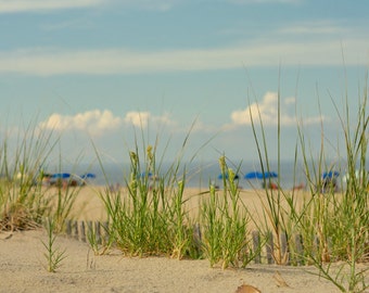 Large coastal print, beach grass photography, nautical wall picture, sandy beach dunes umbrellas, Delaware Rebohoth, black and white