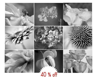 Floral wall art set, black and white print set of 9 gallery wall, modern floral wall decor, dark grey wall art, flower photo prints pictures