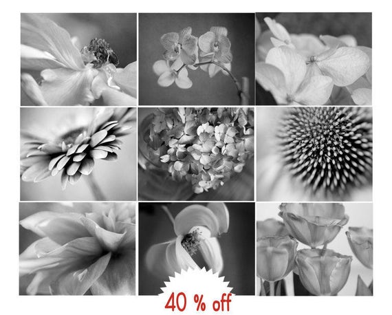 Floral Wall Art Set Black and White Flower Photography Modern Farmhouse Wall Decor Set of 3 Botanical Prints