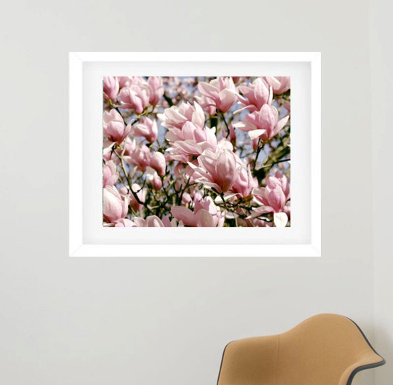 floral print Framed botanical print pink flower photography magnolia wall art framed photography framed wall art oversized wall decor