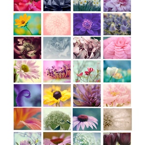 Purple wall art print, modern flower photo print, floral macro photography, bronze brown plum purple artwork, bathroom bedroom wall picture image 4