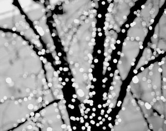 Black and white photography, lighted tree branch wall picture, modern art print 11x14, sparkling light abstract, fairy twinkles, grey