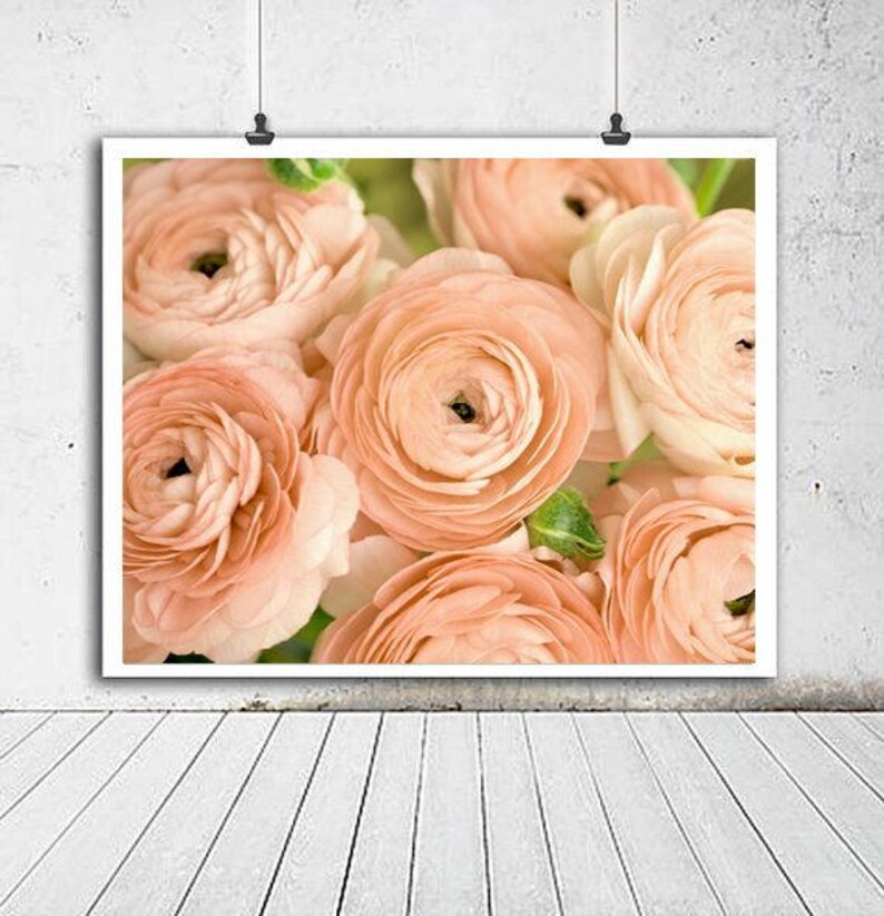 Peach Wall Art Large Artwork Floral Wall Picture Shabby Chic Etsy
