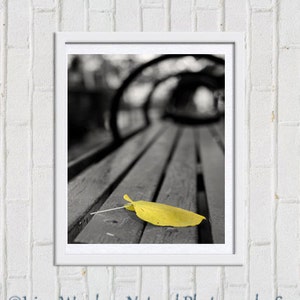 May include: A black and white photo of a wooden bench with a single yellow leaf on top. The bench is in a park or garden setting.