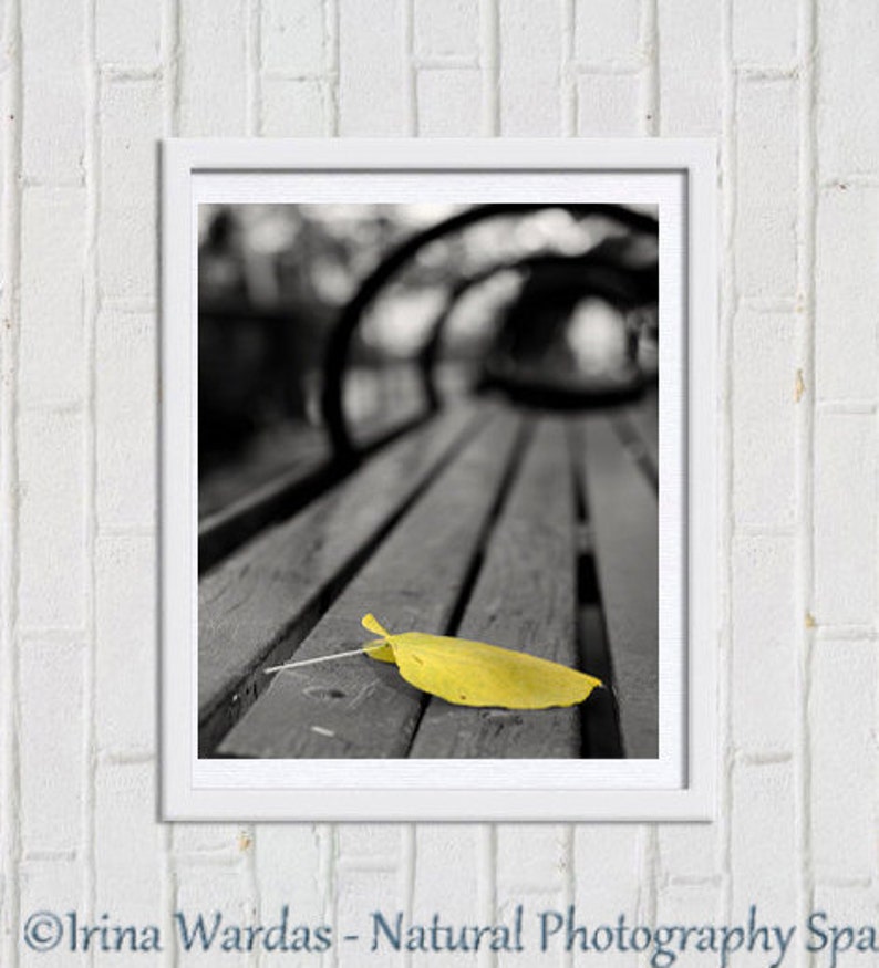 May include: A black and white photo of a wooden bench with a single yellow leaf on top. The bench is in a park or garden setting.
