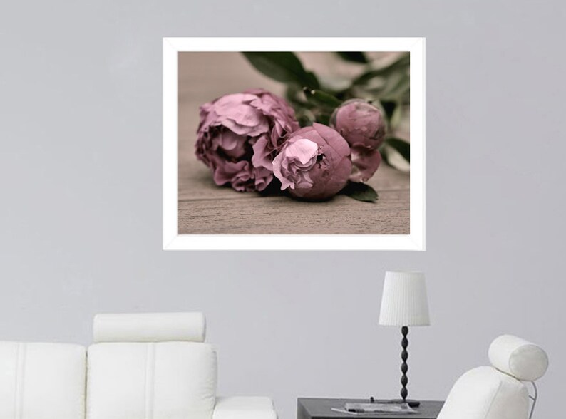tan mauve dusty pink flower Farmhouse chic floral photography peony print modern rustic cottage wall decor picture bedroom wall art woman