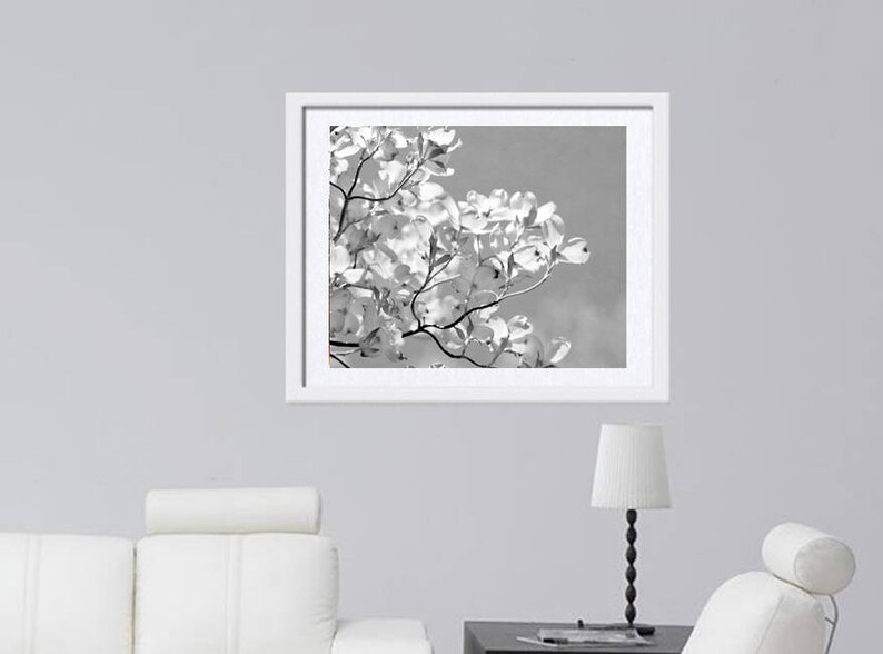 May include: Black and white photograph of a branch of dogwood blossoms against a gray sky.
