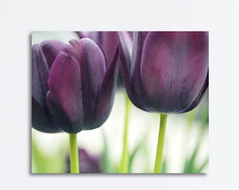 Floral canvas or print, flower photography, tulip canvas wrapped art, burgundy wall art, purple eggplant dark plum, living room wall decor