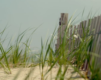 Beach grass photography beach cottage decor, beach fence print, seashore coastal wall art green grass aqua blue nautical artwork, grey beige