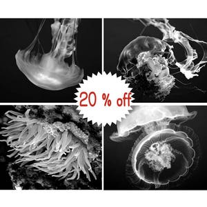 Black and white underwater photography, dark ocean gallery wall art set of 4 prints, beach theme nautical bathroom decor, jellyfish pictures