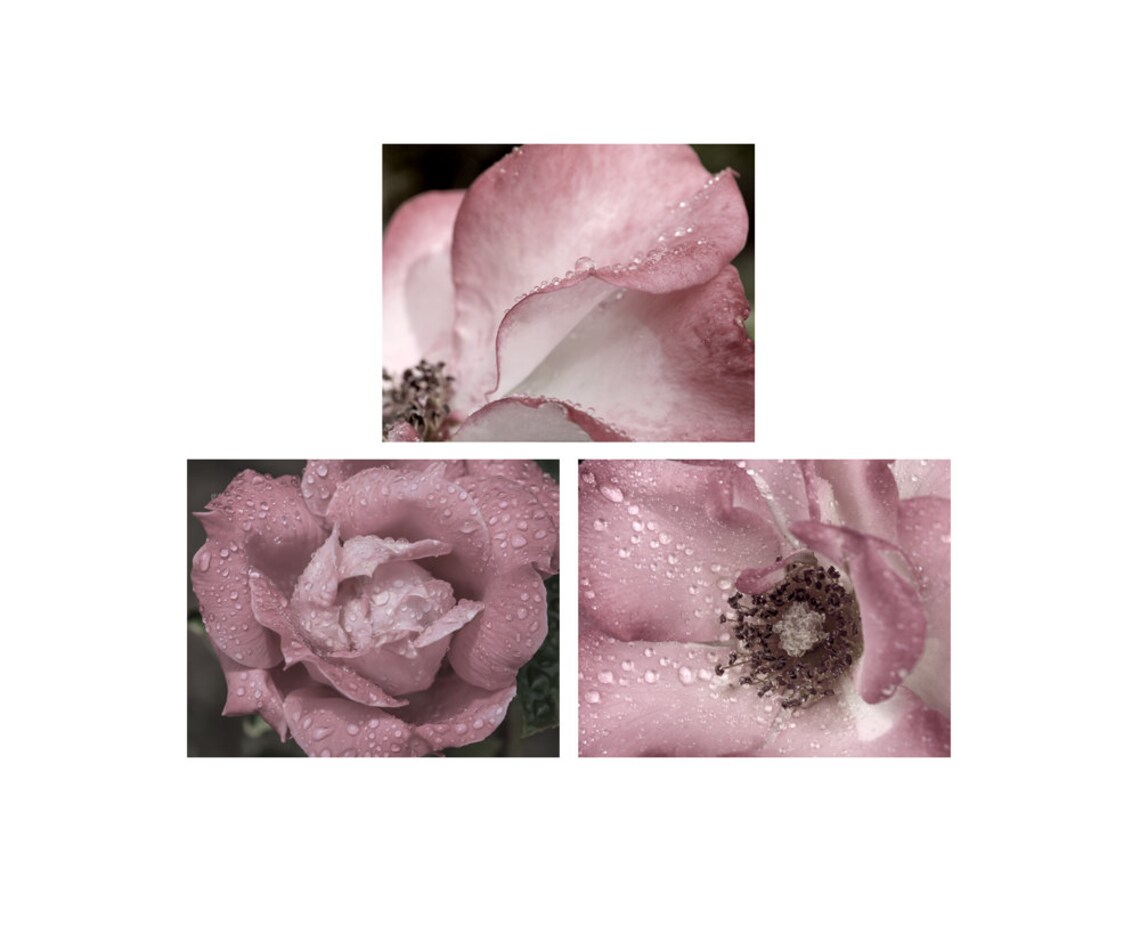 Conjunto de arte de pared del baño de 3 grabados / lienzo | Etsy