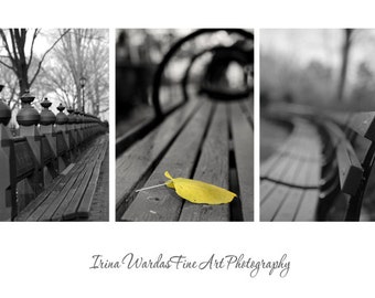 Black and white 3 piece wall art, New York City prints Central park bench art pictures, modern photography, black minimalist art foyer decor