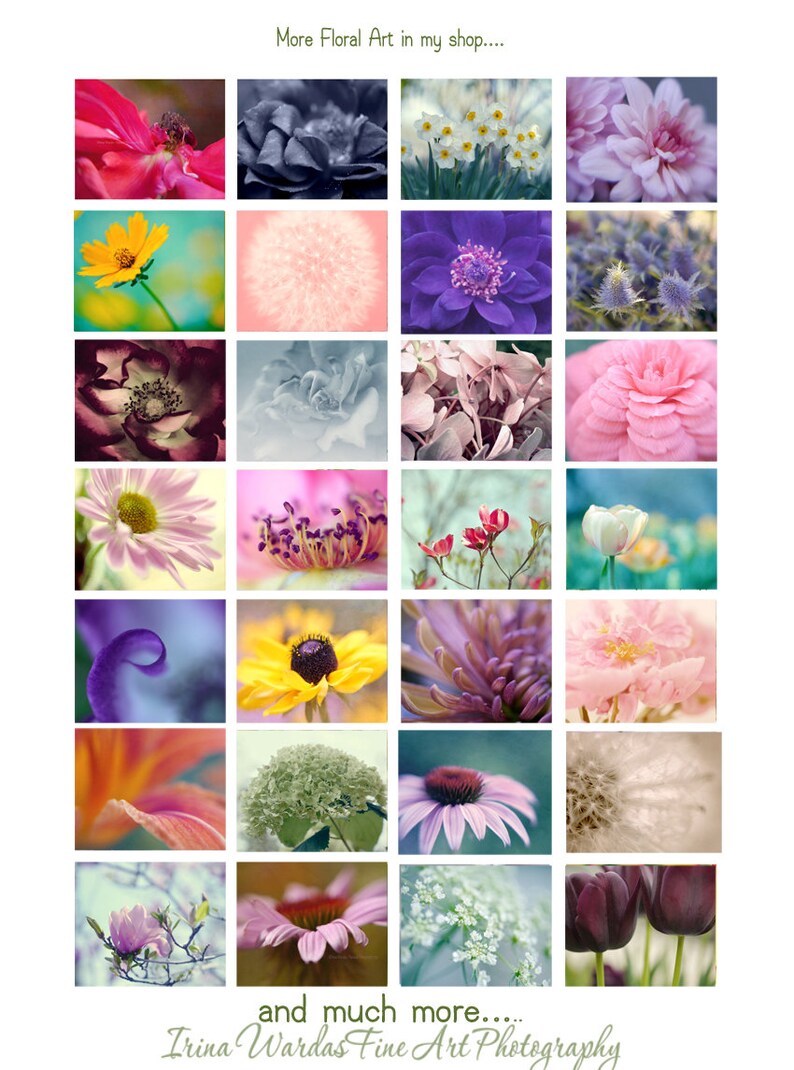 May include: A collage of 18 different floral images. Each image features a close-up of a flower or flower arrangement. The flowers are in various colors, including pink, purple, yellow, white, and red. The images are arranged in a grid pattern.
