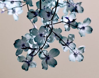 Teal wall art, dogwood floral tree branch, shabby chic bathroom bedroom wall decor, extra large photography print or canvas, tan purple