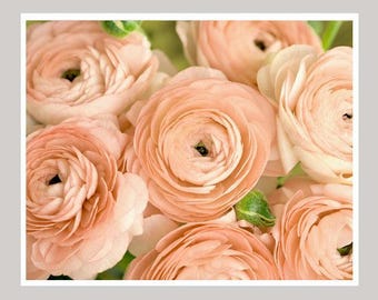 Peach wall art, large artwork floral wall picture, shabby chic art, ranunculus peach flower photography, bathroom decor, bedroom living room