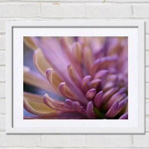 Purple wall art print, modern flower photo print, floral macro photography, bronze brown plum purple artwork, bathroom bedroom wall picture image 2