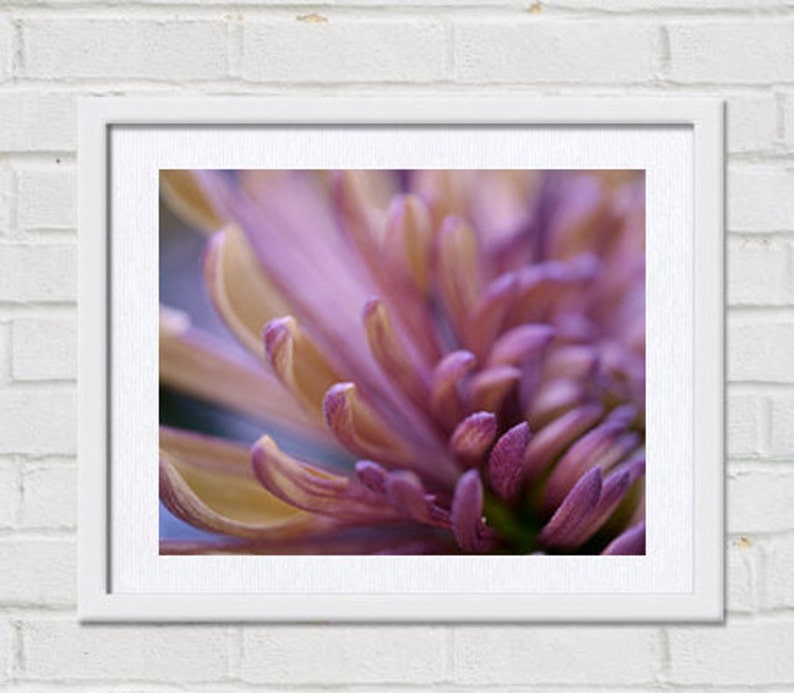 Purple wall art print, modern flower photo print, floral macro photography, bronze brown plum purple artwork, bathroom bedroom wall picture image 2
