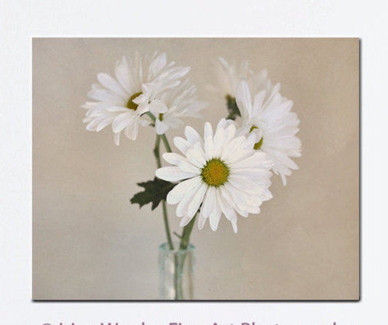Daisy Wall Art Flower Canvas White Still Life Shabby Chic Decor Tan Beige Large Fl
