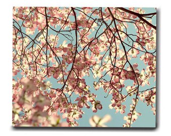 Dogwood tree, large botanical wall print, oversized photo or canvas, floral canvas, baby girl room decor, aqua pale pink bedroom canvas